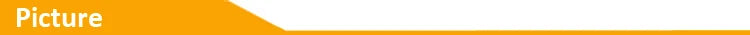 Ezcap380 GameLink RAW 4K 30fps 1080p120 HDMI PCIE Video Capture Card PCI-E HDMI Audio Video Grabber Recorder with Line in Out
