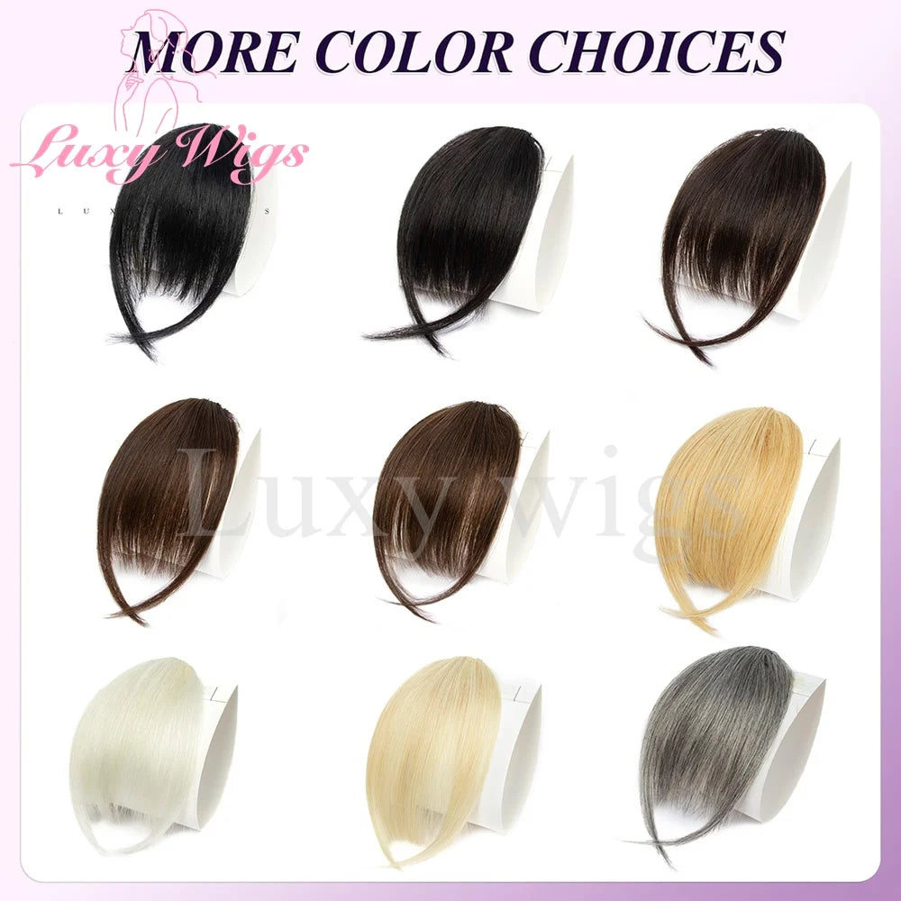 Blonde Human Hair Clip in Bangs Fringe with Temples Wispy Bangs French Bangs for Women Black Brown Gray Hair Bangs Daily Use