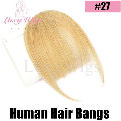 Blonde Human Hair Clip in Bangs Fringe with Temples Wispy Bangs French Bangs for Women Black Brown Gray Hair Bangs Daily Use