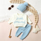 Ylsteed 3 Pcs Set Knitting Newborn Boy Photography Clothes "Just Arrived" Embroidery Khaki Baby Outfits Sweater Baby Shower Gift
