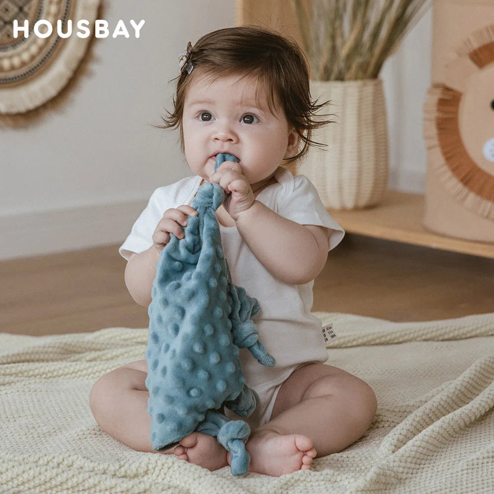 Baby Blanket For Newborn Appease Towel 1Pc Security Blanket Winter Doudou Velvet Soft Infant Facecloth Can Hanging Soother