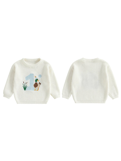 Baby Boy Birthday Sweater Casual Duck Letter Embroidery Infant Pullover Knitwear for Toddler Warm Clothes