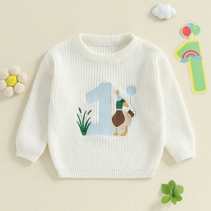 Baby Boy Birthday Sweater Casual Duck Letter Embroidery Infant Pullover Knitwear for Toddler Warm Clothes