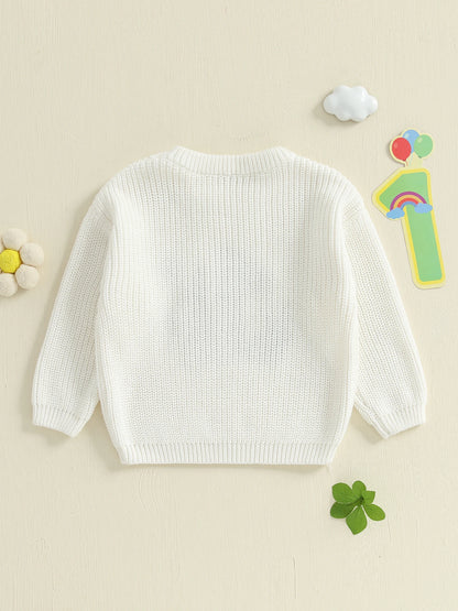 Baby Boy Birthday Sweater Casual Duck Letter Embroidery Infant Pullover Knitwear for Toddler Warm Clothes