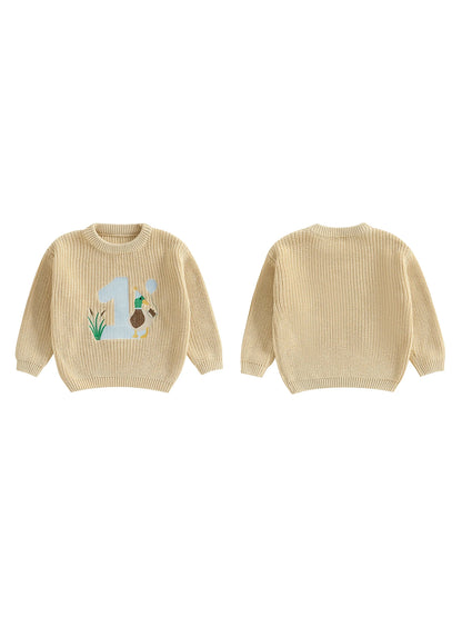 Baby Boy Birthday Sweater Casual Duck Letter Embroidery Infant Pullover Knitwear for Toddler Warm Clothes