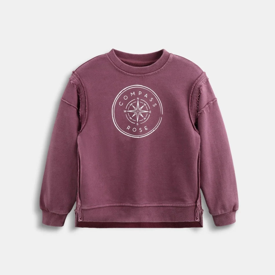 2026 Ali Plus new AW26 Compass Collection Dusty pink Muted blue washed denim oversized sweatshirt kids girl boy baby clothing
