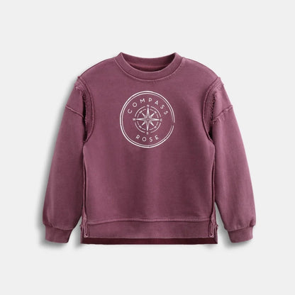 2026 Ali Plus new AW26 Compass Collection Dusty pink Muted blue washed denim oversized sweatshirt kids girl boy baby clothing