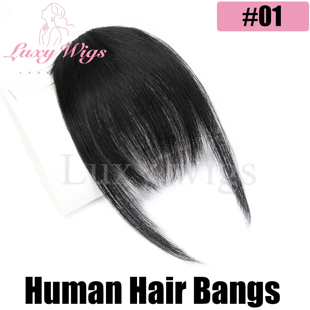 Blonde Human Hair Clip in Bangs Fringe with Temples Wispy Bangs French Bangs for Women Black Brown Gray Hair Bangs Daily Use