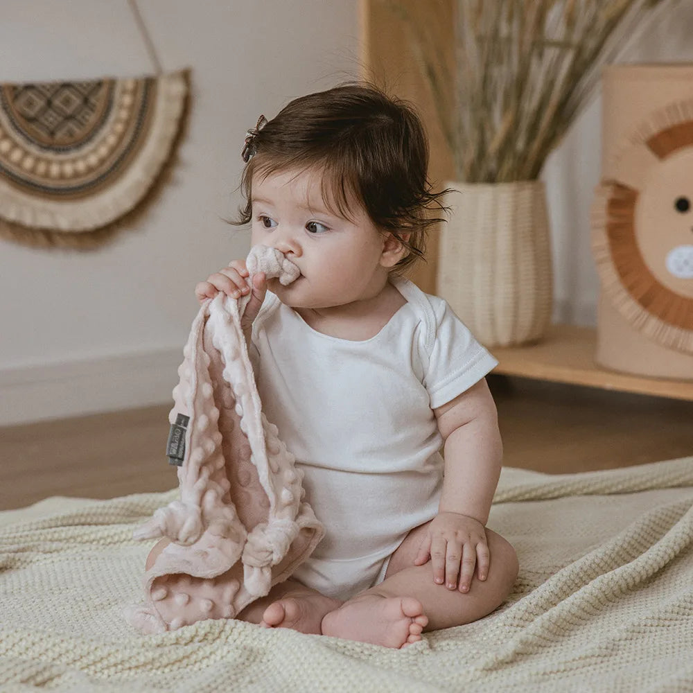 Baby Blanket For Newborn Appease Towel 1Pc Security Blanket Winter Doudou Velvet Soft Infant Facecloth Can Hanging Soother