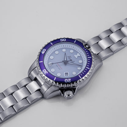 Horolo 30mm Women's Watches Japan Solar Movement Luminous Water Resistant Sapphire Stainless Steel Luxury Watch Gift For Wife