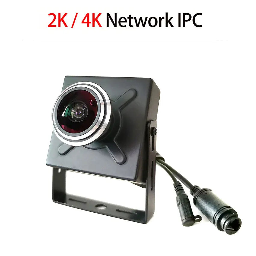 4MP/8MP Metal Mini IP Camera DC 12V or 48V POE 2K/4K H.265 ONVIF IPC Human Motion Detection With Wide View Fisheye Lens 1.8mm